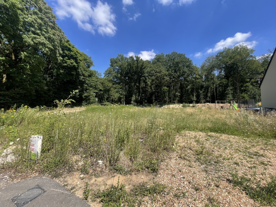 Terrain viabilisé Fontaine La guyon