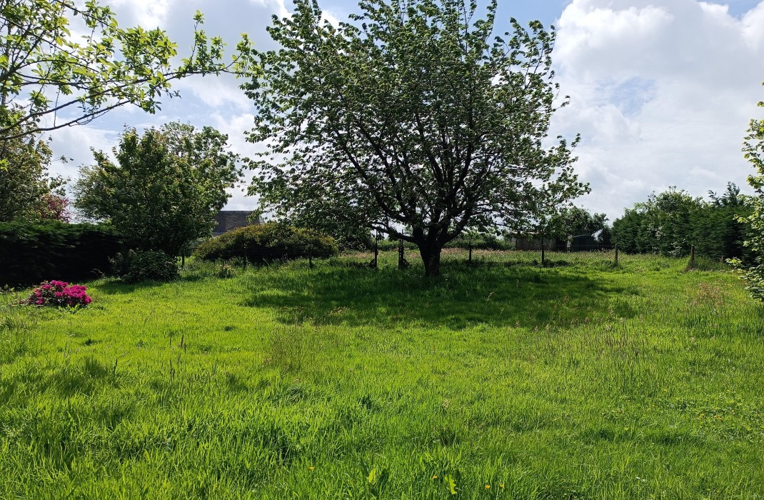 Terrain/Terre à Butot-Vénesville