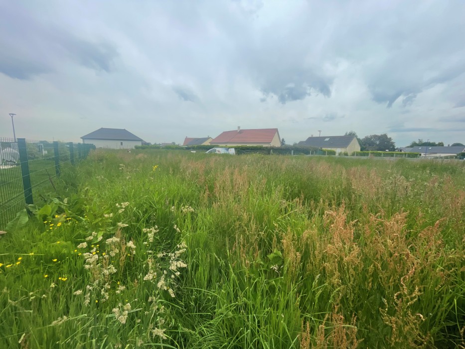 Terrain/Terre à Épreville